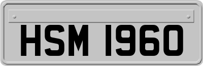 HSM1960