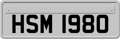 HSM1980