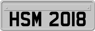 HSM2018