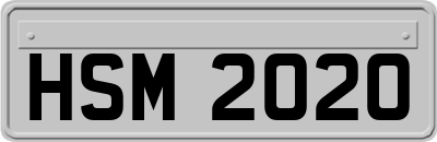 HSM2020