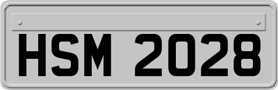 HSM2028