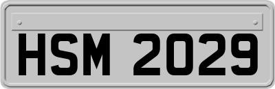 HSM2029