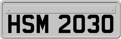 HSM2030