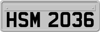 HSM2036