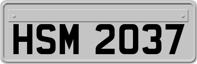HSM2037