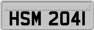 HSM2041