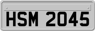 HSM2045