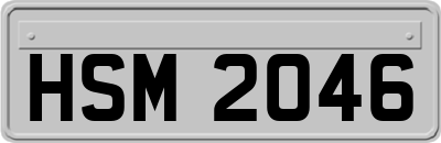 HSM2046
