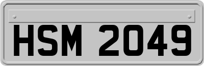 HSM2049