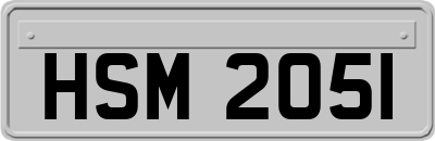 HSM2051