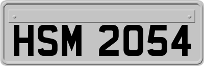 HSM2054