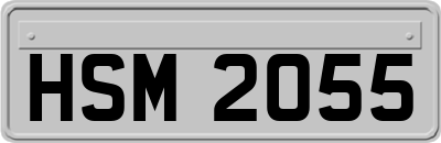 HSM2055