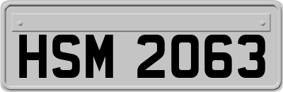 HSM2063