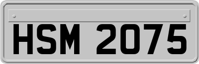 HSM2075