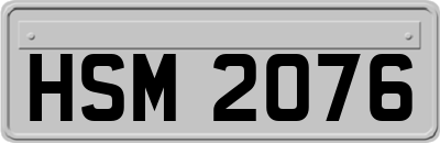 HSM2076