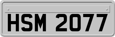 HSM2077