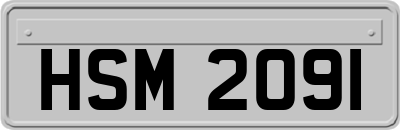 HSM2091