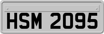 HSM2095