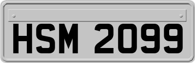 HSM2099