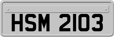 HSM2103