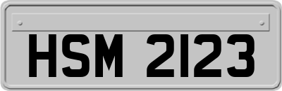 HSM2123
