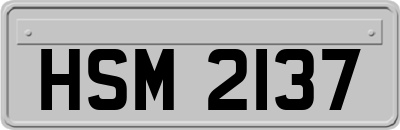HSM2137