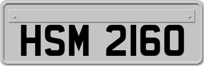 HSM2160