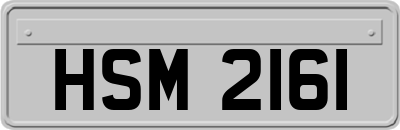 HSM2161