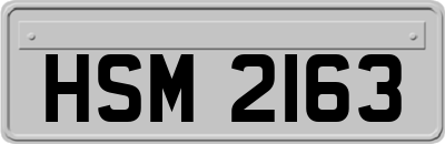 HSM2163