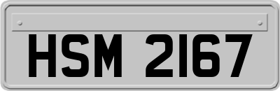 HSM2167
