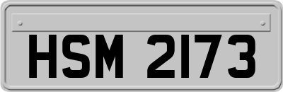 HSM2173