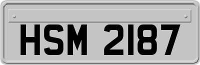 HSM2187