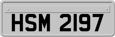 HSM2197