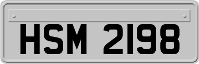 HSM2198