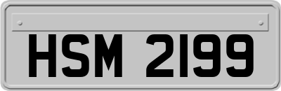HSM2199