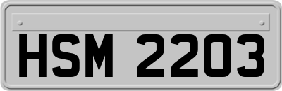 HSM2203