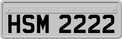HSM2222