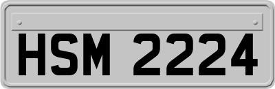 HSM2224