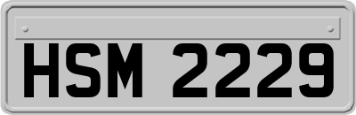 HSM2229