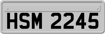 HSM2245
