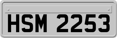 HSM2253