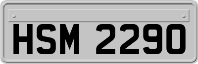 HSM2290