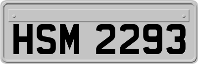 HSM2293