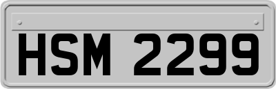 HSM2299