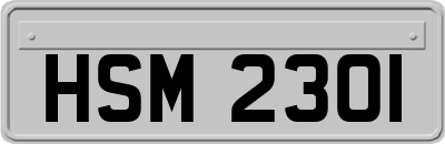HSM2301