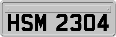 HSM2304