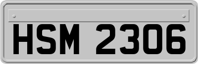 HSM2306