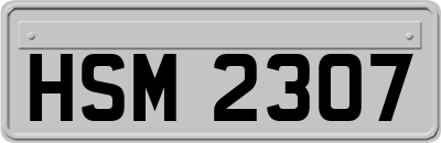 HSM2307