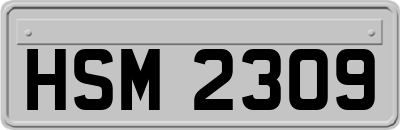 HSM2309