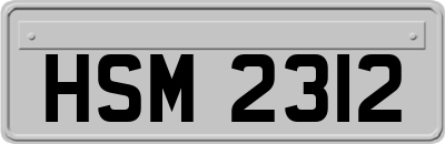 HSM2312